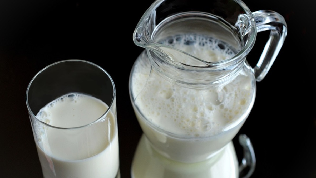 घोड़े के दूध के फायदे 6