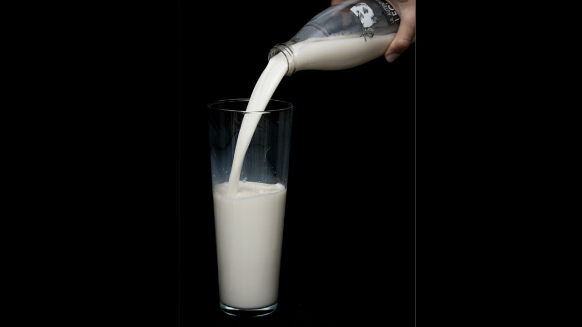 घोड़े के दूध के फायदे 7