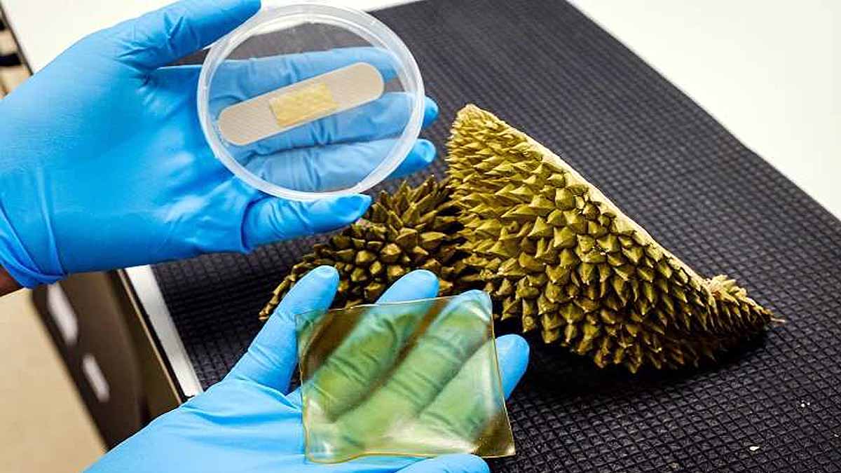 Antibacterial Gel Bandage Durian Husk