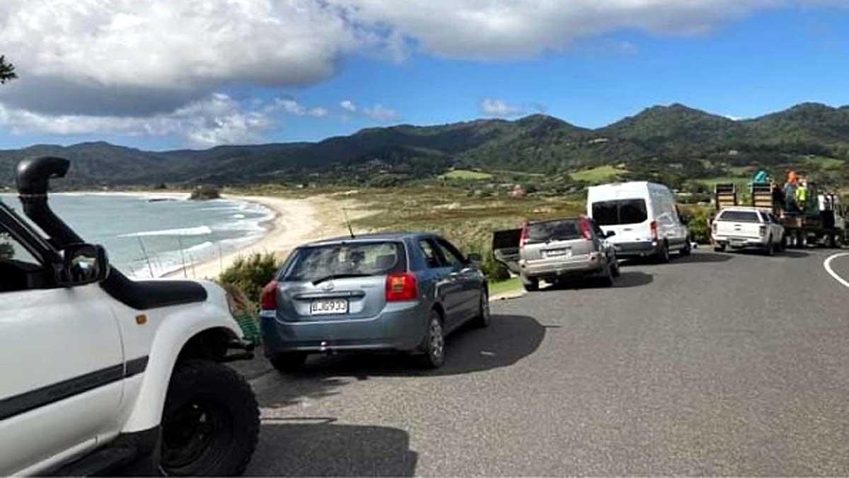 Three Earthquakes New Zealand Tsunami