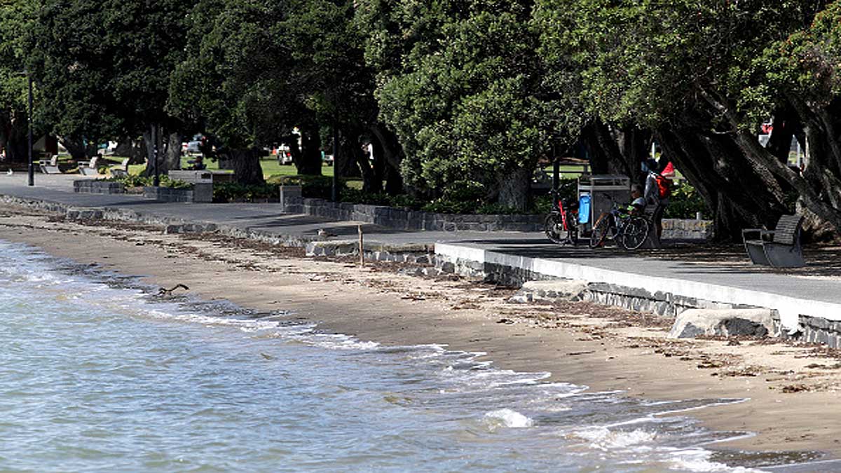 Three Earthquakes New Zealand Tsunami