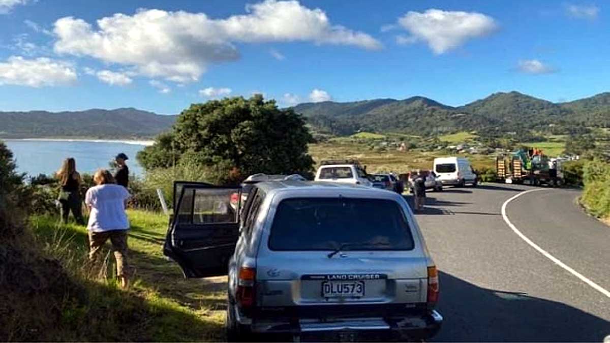 Three Earthquakes New Zealand Tsunami