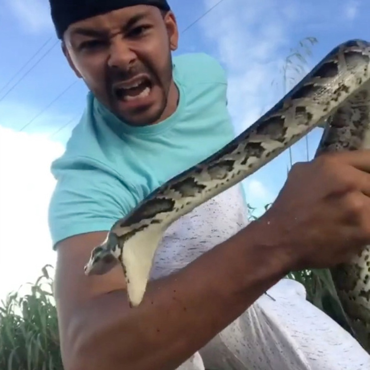 निक बिशप