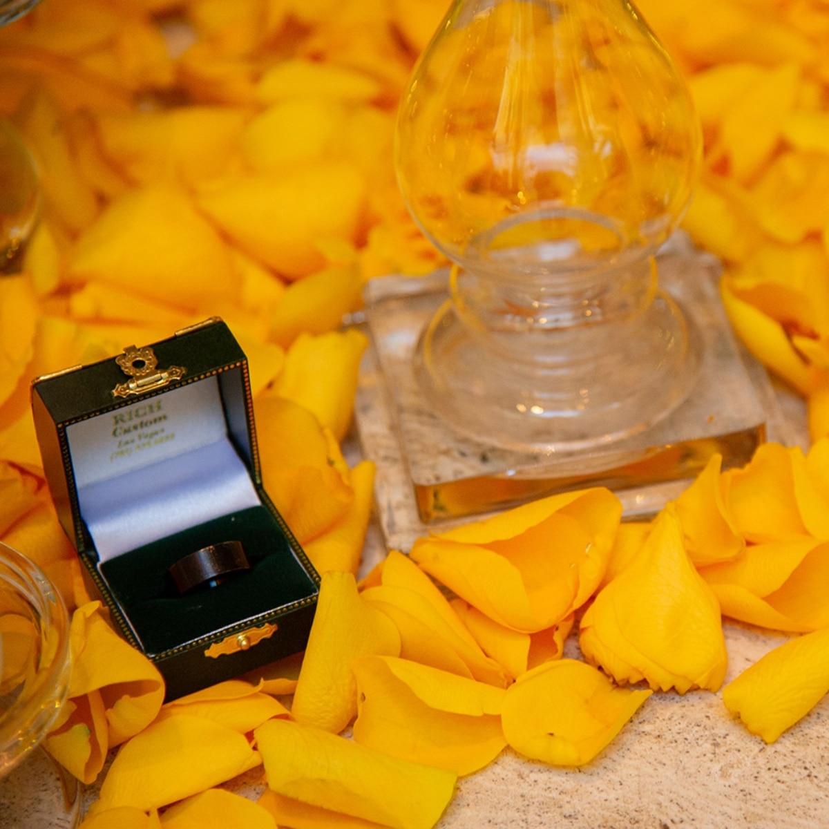 हॉलीवुड एक्टर निकोलस केज और रीको शिबाटा 