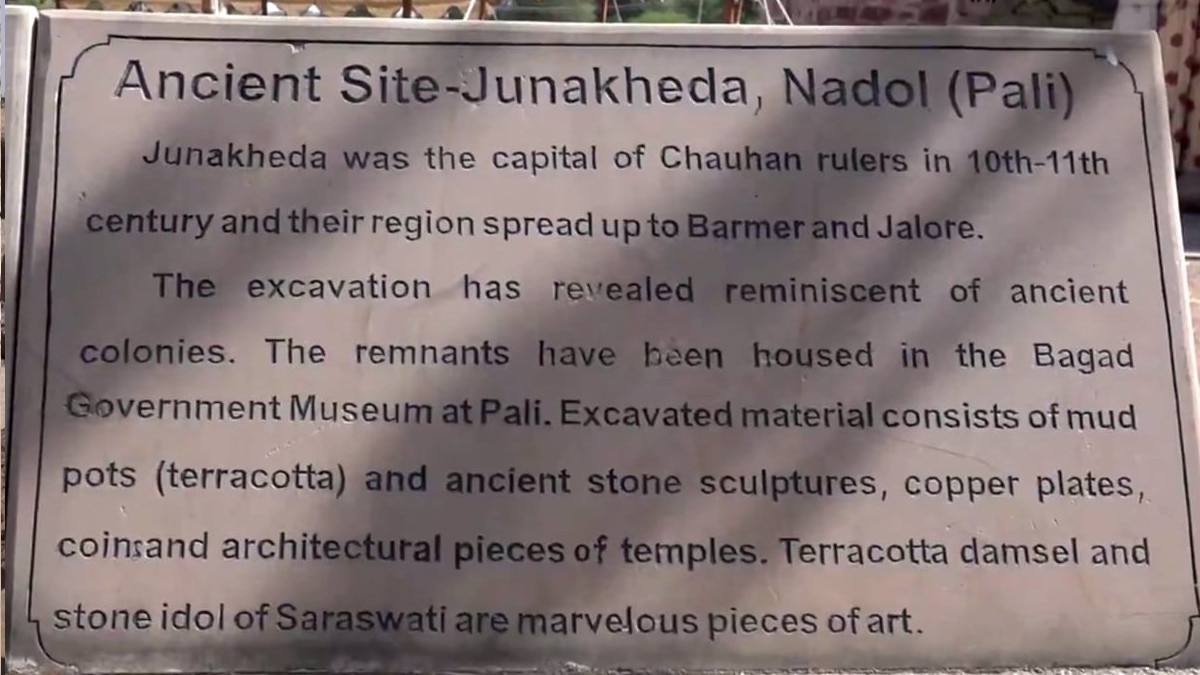 जूनाखेड़ा खुदाई में मिले थे 10 वीं सदी के घर, माता सरस्वती की प्रतिमाओं के साथ ही नरकंकाल भी म‍िले 