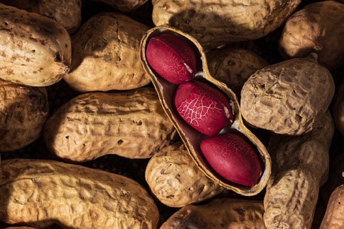 मूंगफली