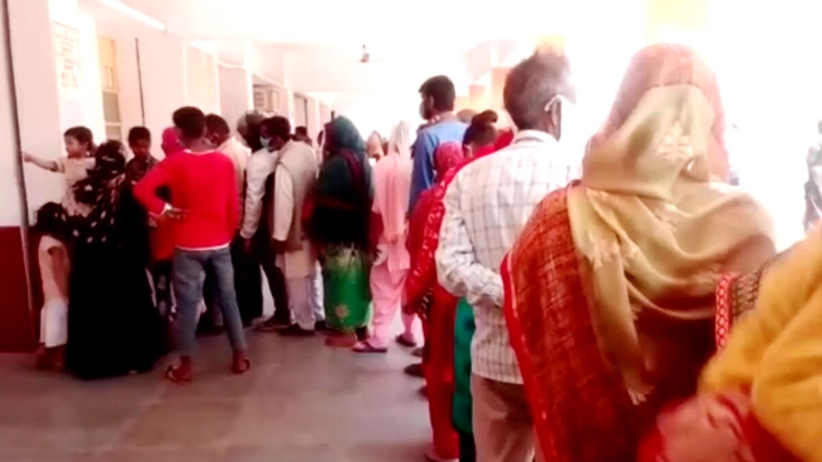 अवारा कुत्तों ने दो दिन में 85 लोगों को काटा (फोटो- शरद गौतम)