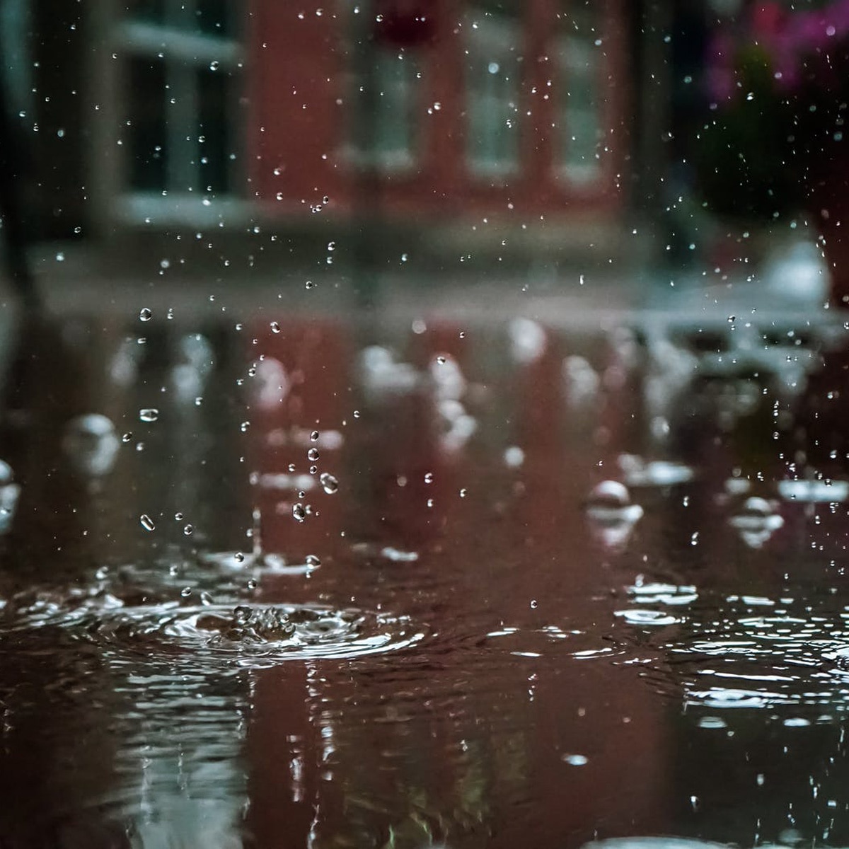 प्रतीकात्मक तस्वीर