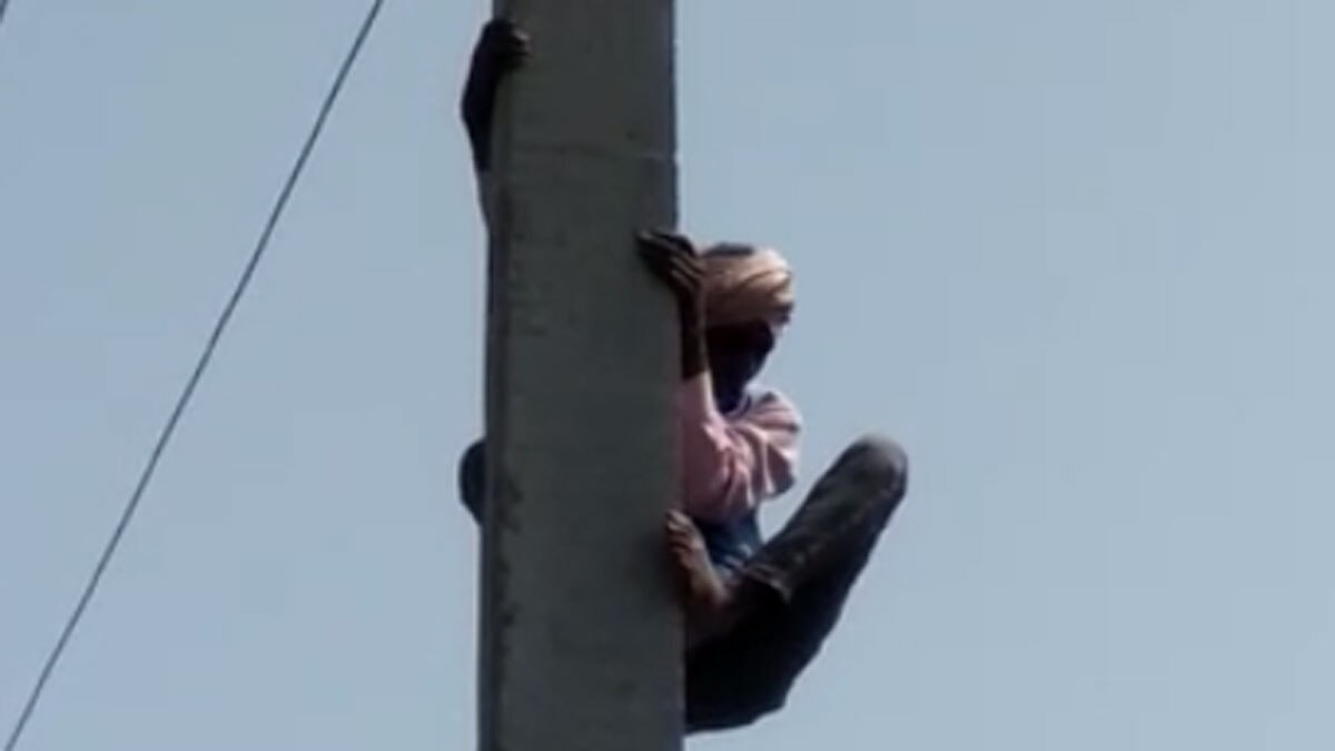 11 हजार लाइन के बिजली के पोल पर चढ़ा 60 साल का बुजुर्ग (फोटो- वायरल वीडियो ग्रैब)