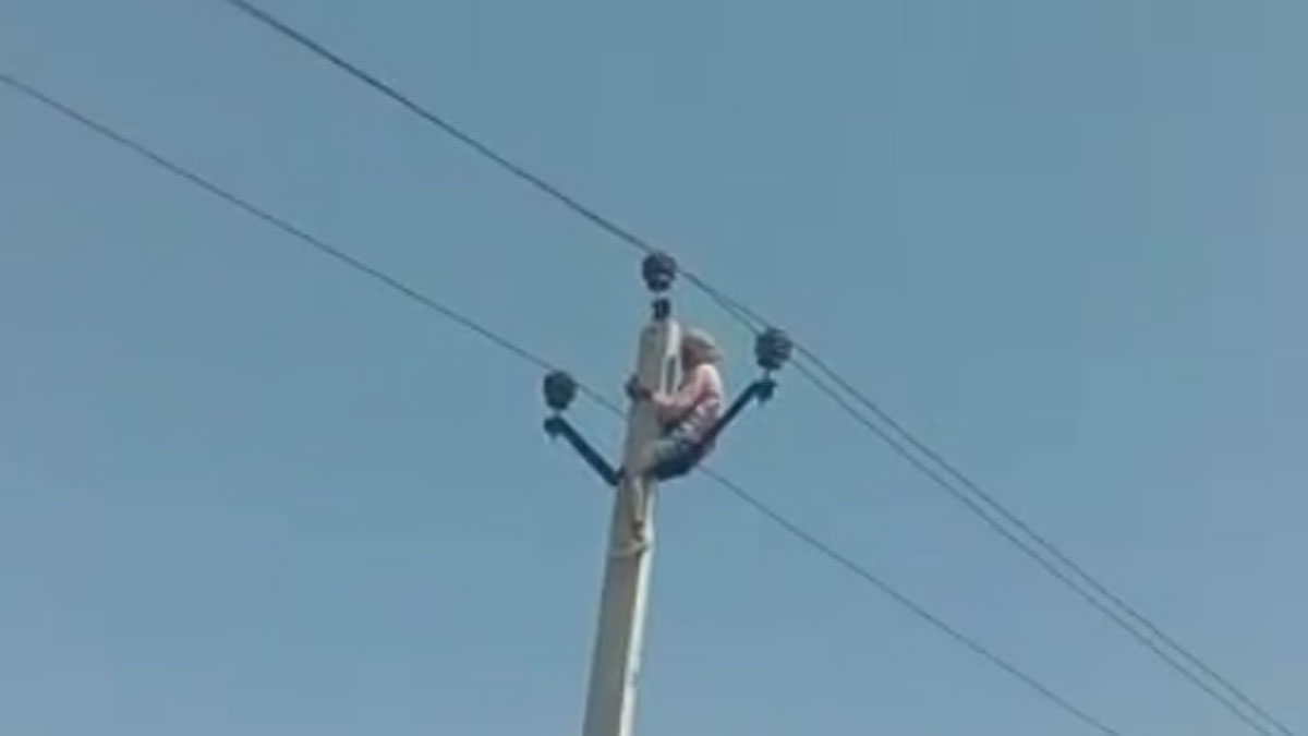 11 हजार लाइन के बिजली के पोल पर चढ़ा 60 साल का बुजुर्ग (फोटो- वायरल वीडियो ग्रैब)