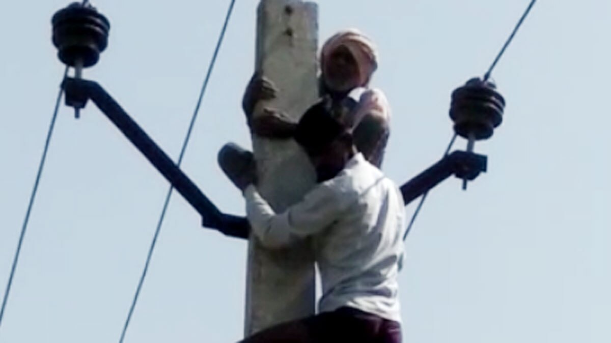 11 हजार लाइन के बिजली के पोल पर चढ़ा 60 साल का बुजुर्ग (फोटो- वायरल वीडियो ग्रैब)