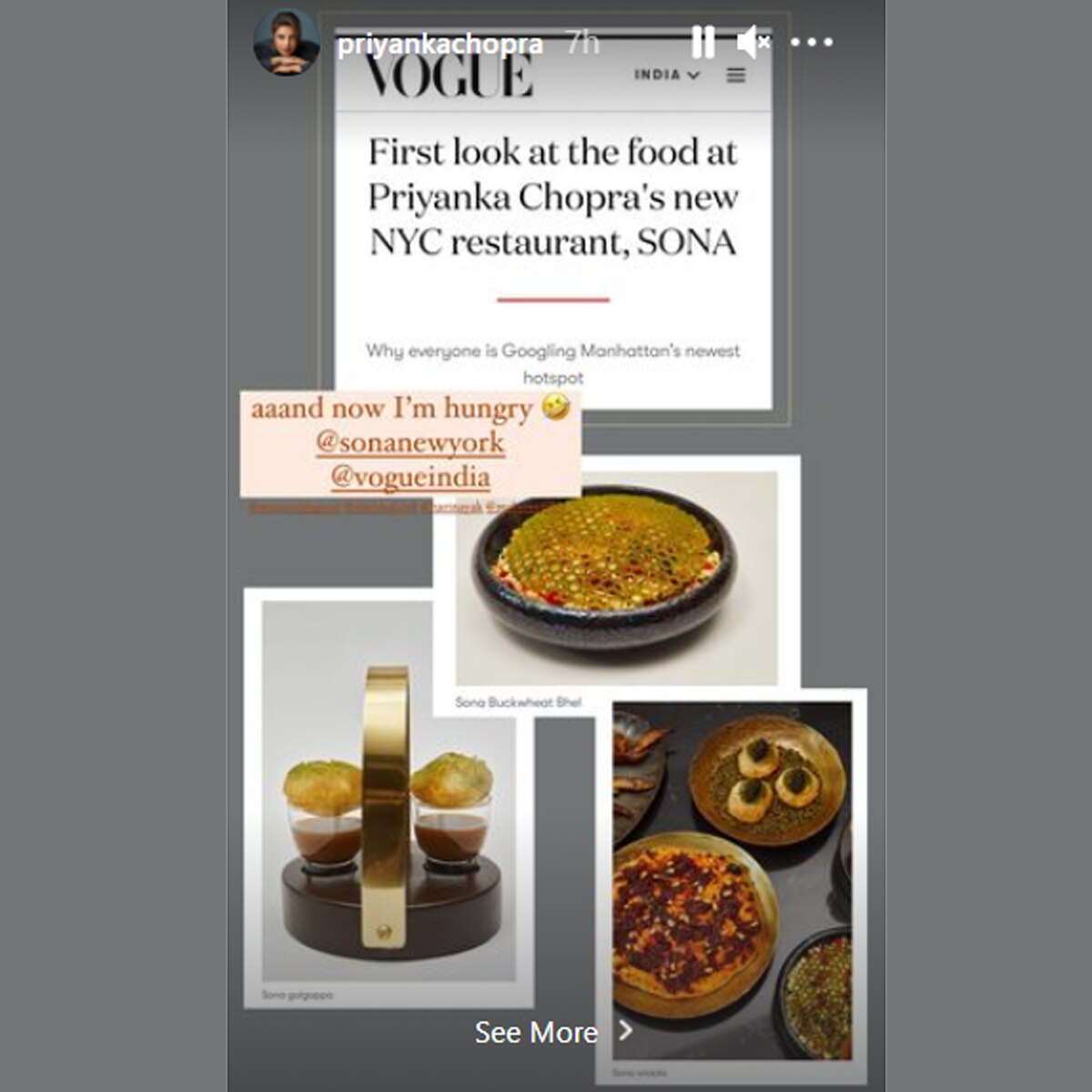 प्र‍ियंका चोपड़ा इंस्टा स्टोरी 