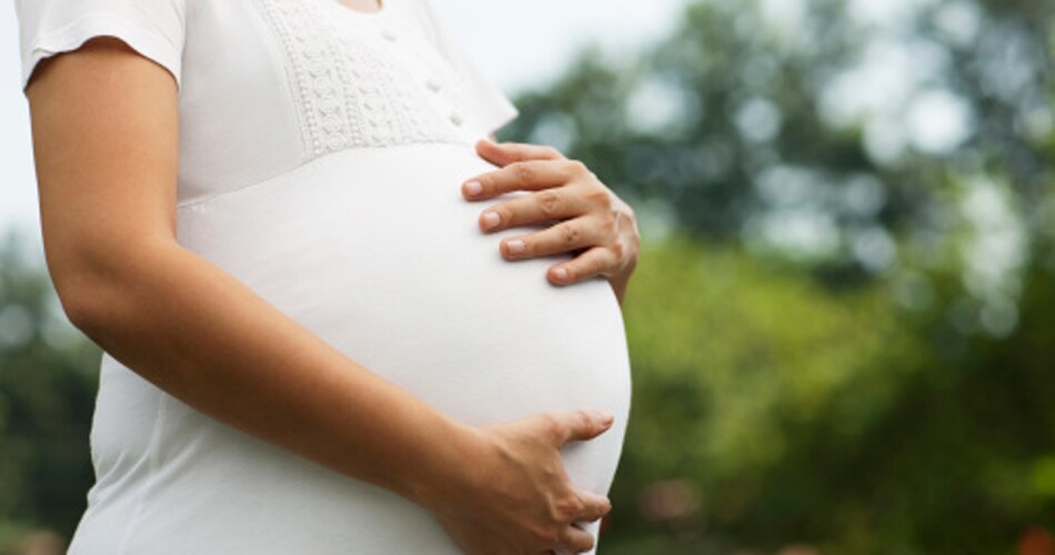 सेरोगेट मदर 3