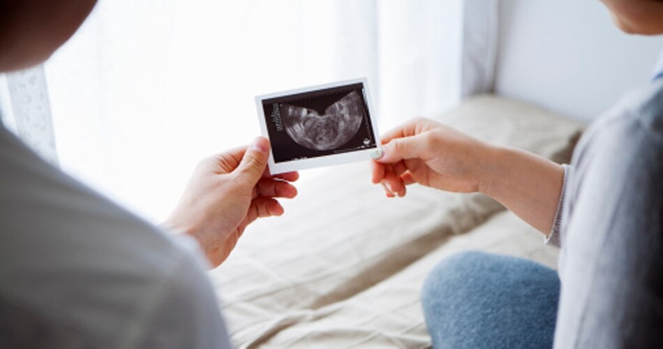 सेरोगेट मदर4 