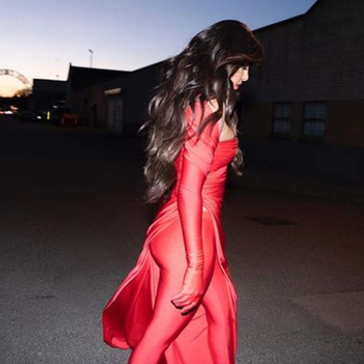 प्र‍ियंका चोपड़ा 