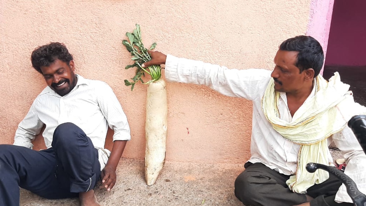 ये मामला महाराष्ट्र के बुलढाणा जिले के लोणार तहसील के गोत्रा का है.