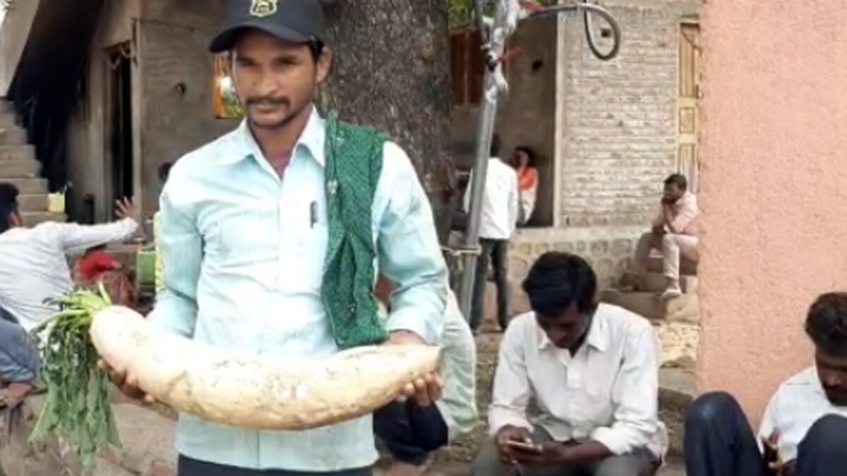 'मॉन्स्टर मूली' को देख लोग भी हैरान.