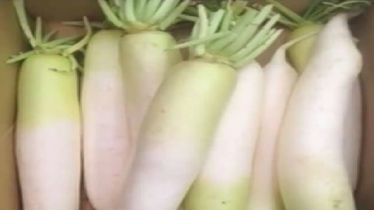 प्रतिकात्मक फोटो.