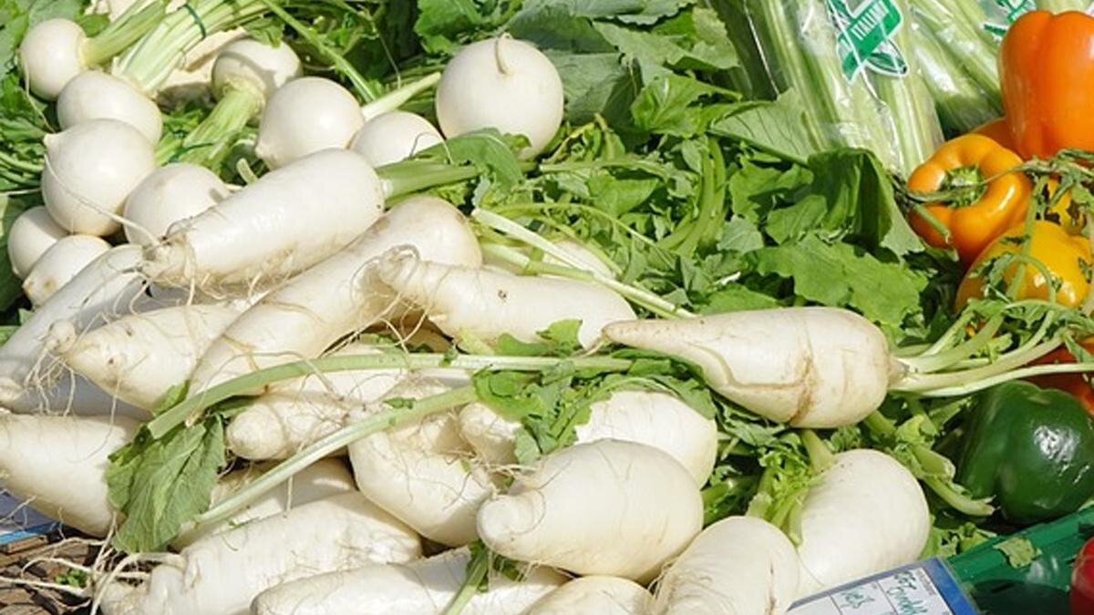 प्रतीकात्मक फोटो