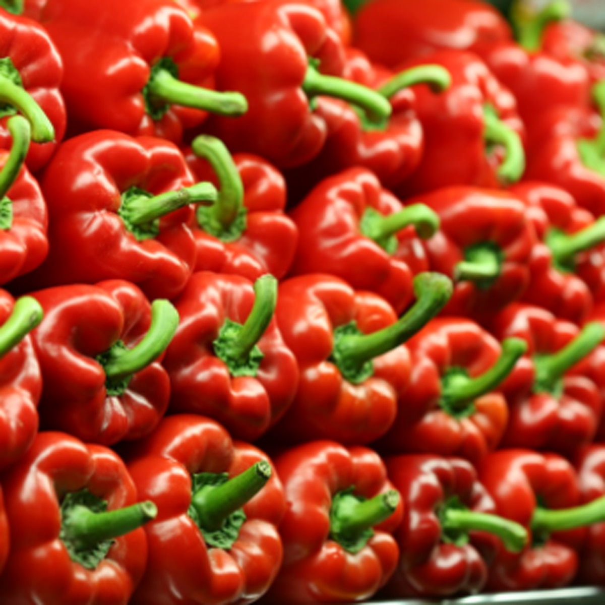 लाल शिमला मिर्च