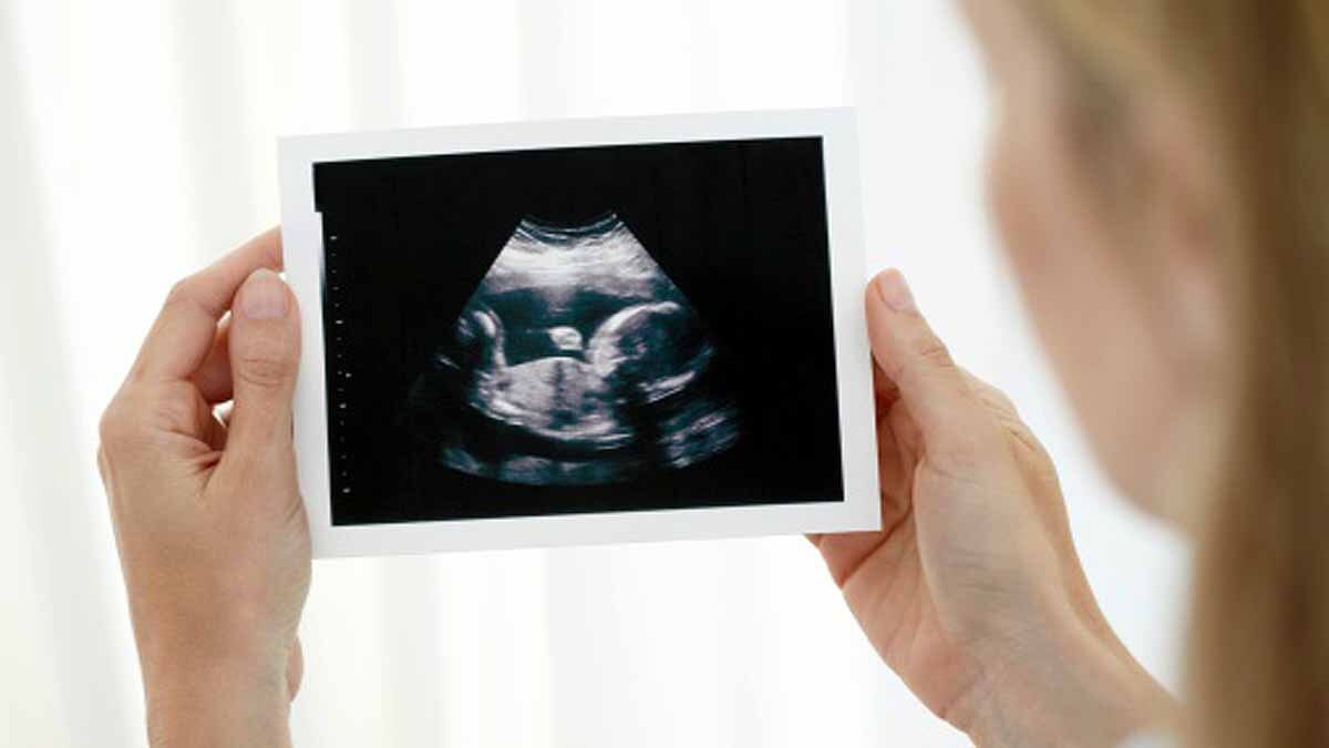 Reproduction Without Pregnancy 