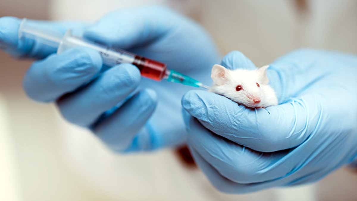 Reproduction Without Pregnancy 