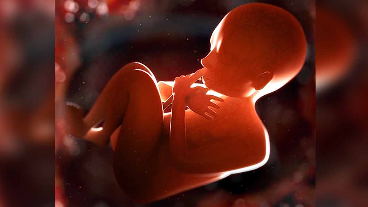 Reproduction Without Pregnancy 