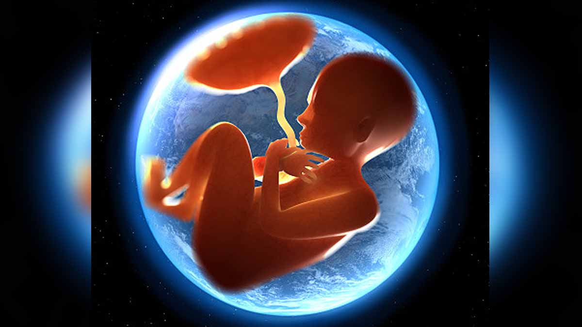 Reproduction Without Pregnancy 