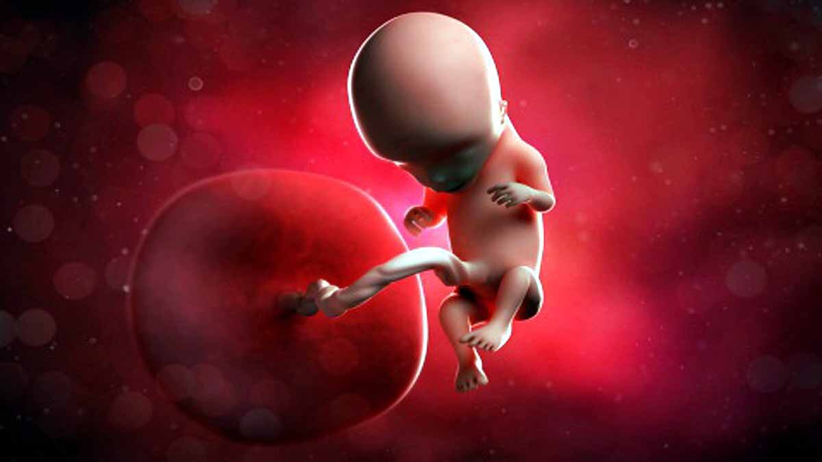 Reproduction Without Pregnancy 