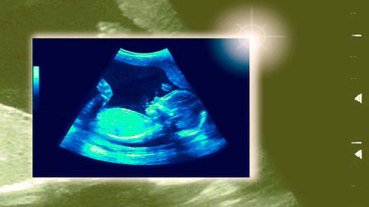 Reproduction Without Pregnancy 