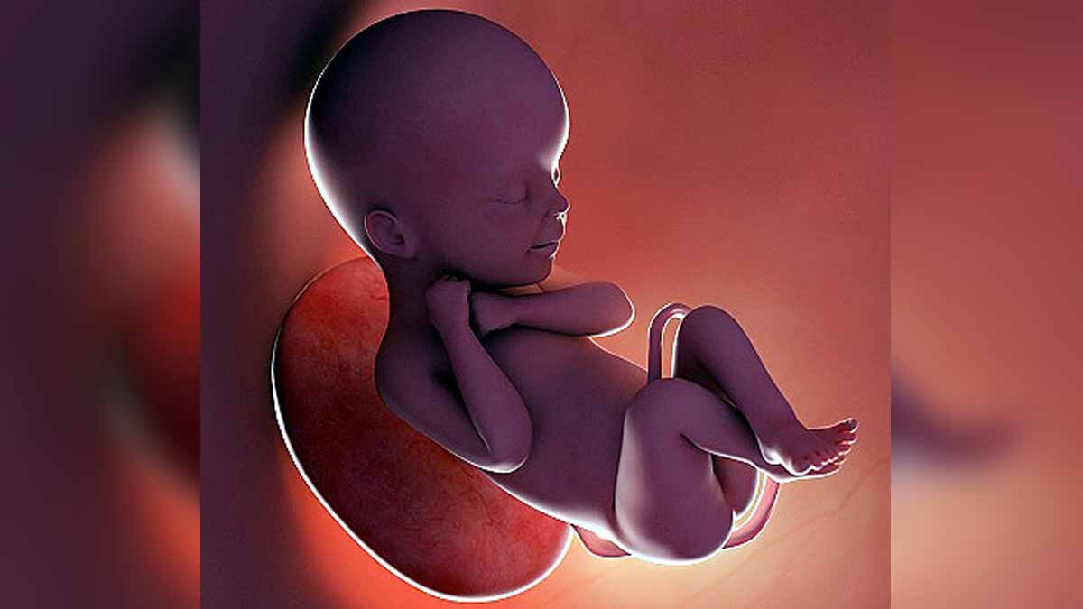 Reproduction Without Pregnancy 