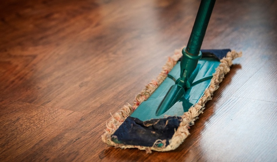 घर की साफ-सफाई में इस्तेमाल