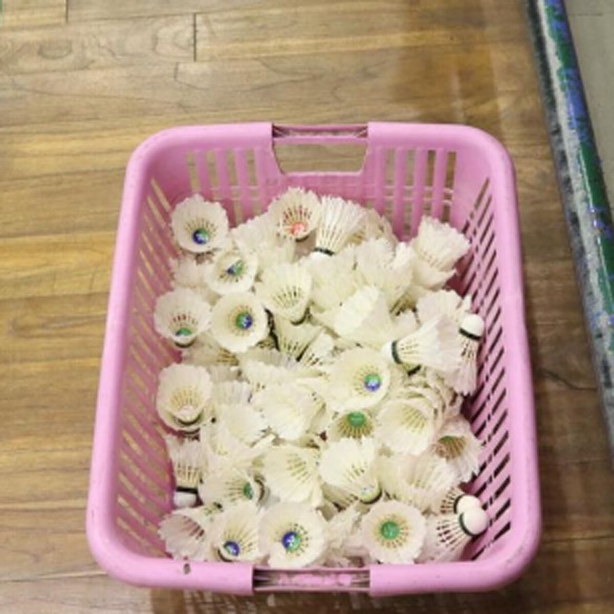 परिणीति