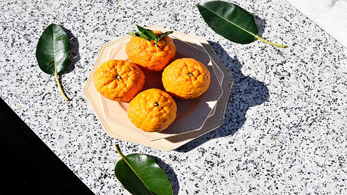 Seville turning oranges into Electricity