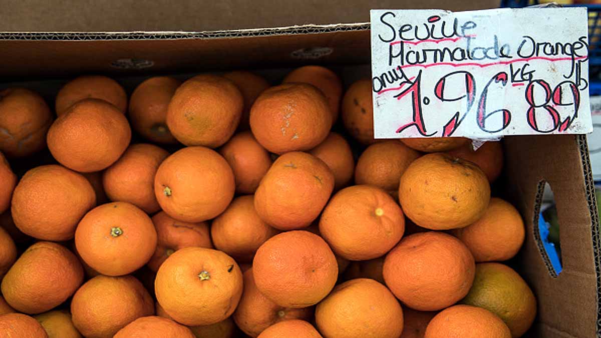 Seville turning oranges into Electricity