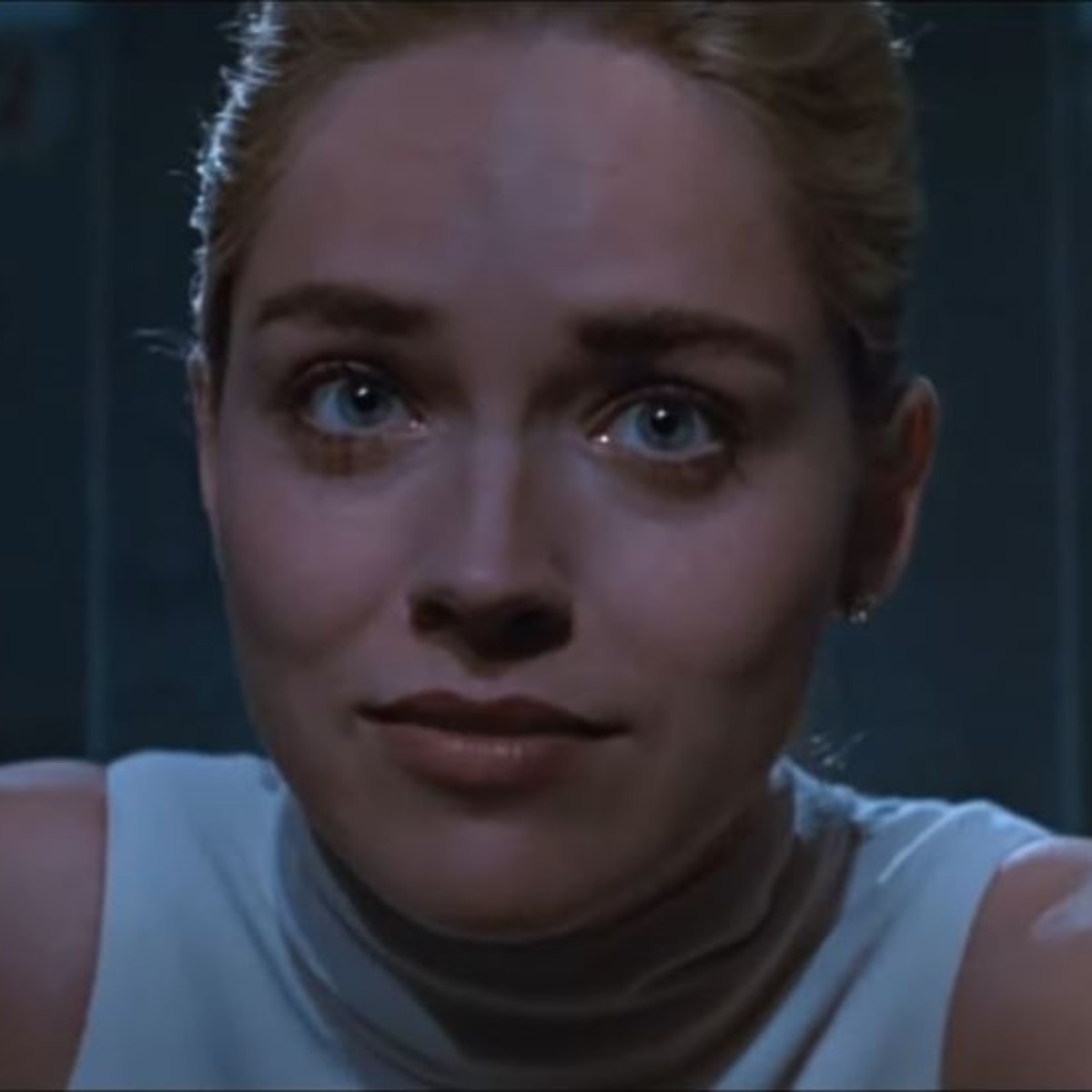 हॉलीवुड एक्ट्रेस शैरन स्टोन 