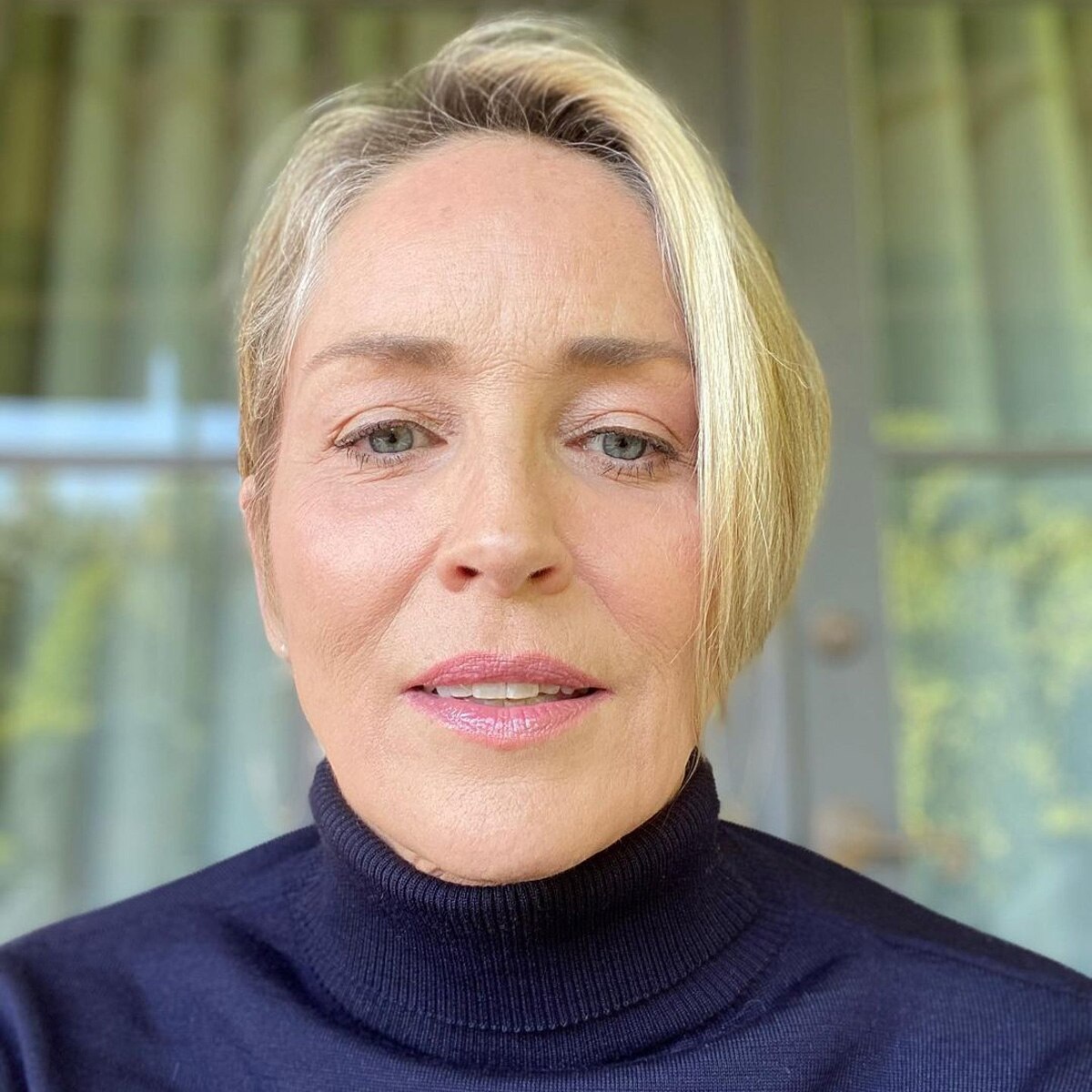 हॉलीवुड एक्ट्रेस शैरन स्टोन 