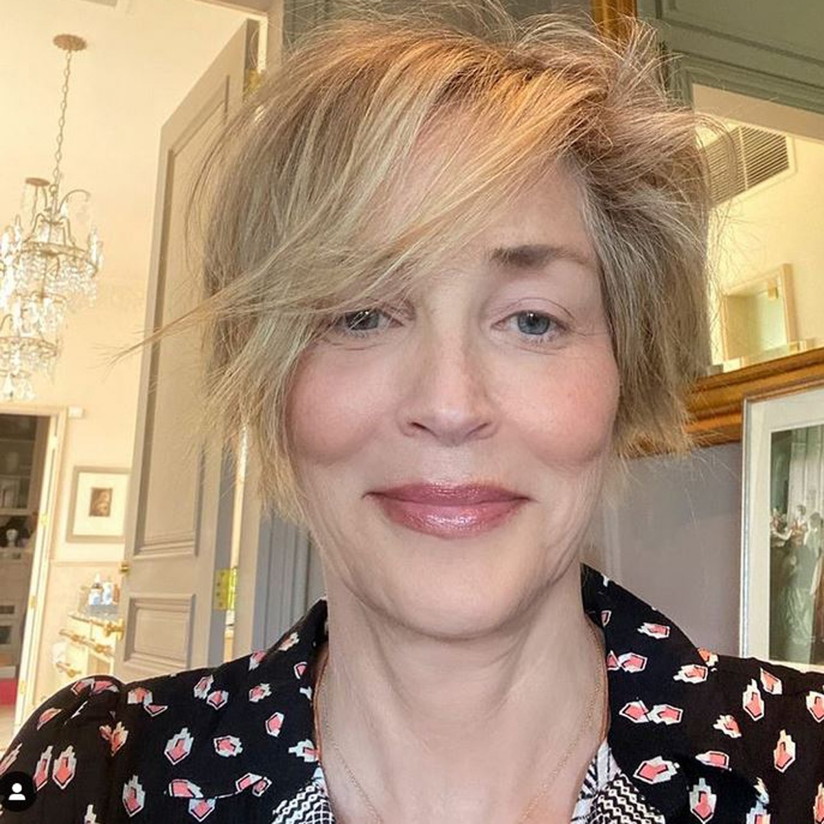 शैरन स्टोन 