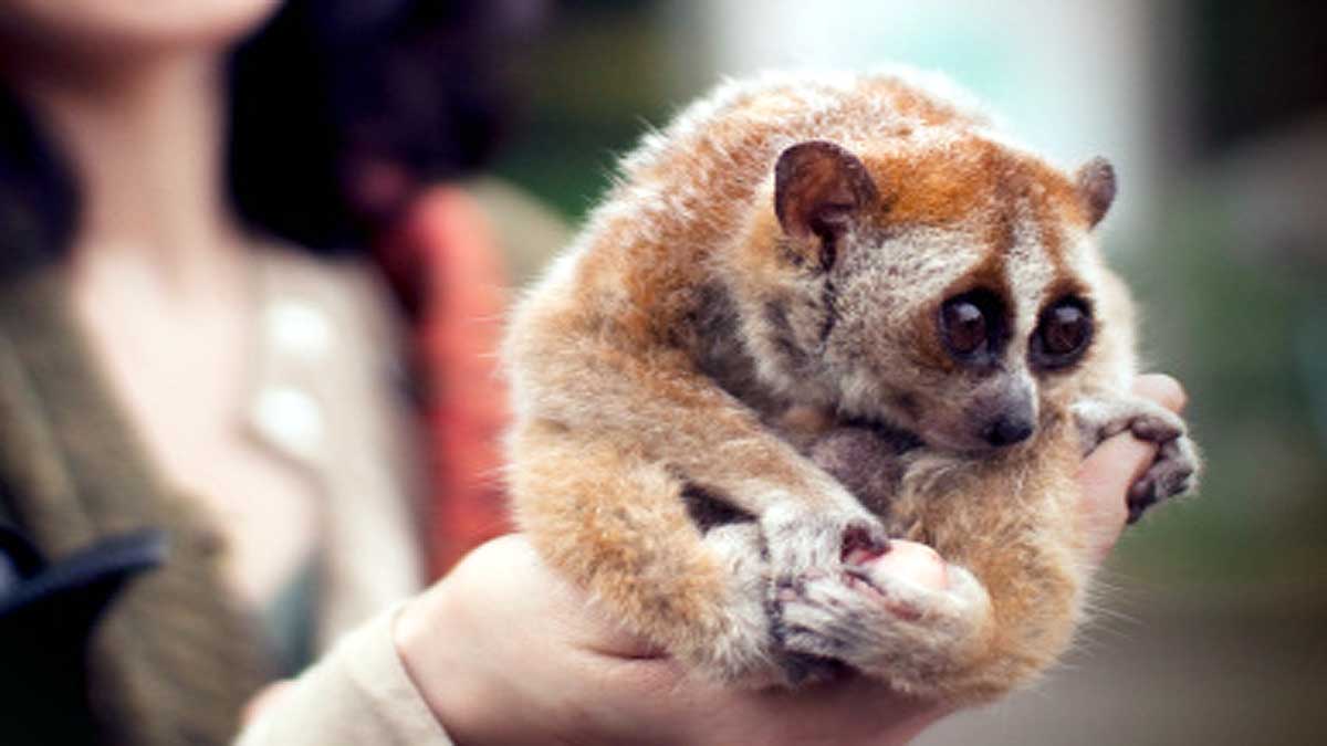 What if human produce poison