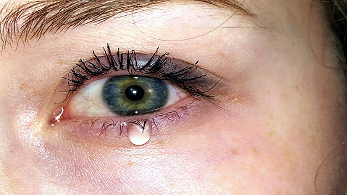 Scientists Grow Human Tear Glands