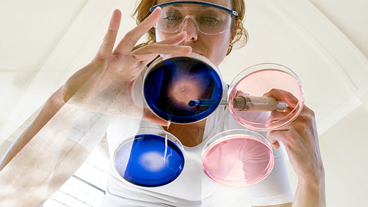 Scientists Grow Human Tear Glands