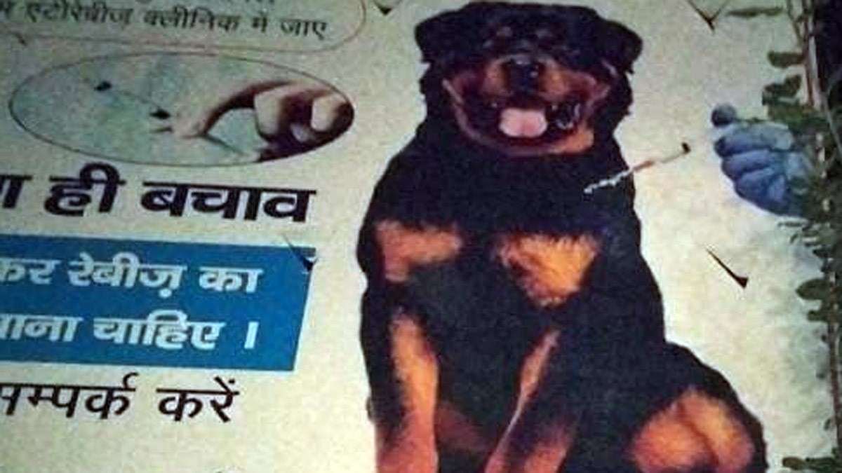 उन्नाव में स्वास्थ्य विभाग द्वारा लगवाई होर्डिंग में कुत्ते के नीचे लिखा जिलाधिकारी उन्नाव (फोटो- वायरल वीडियो ग्रैब)