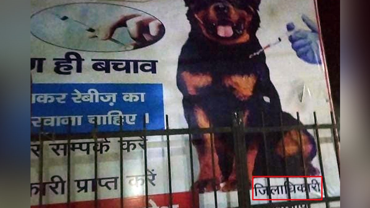 उन्नाव में स्वास्थ्य विभाग द्वारा लगवाई होर्डिंग में कुत्ते के नीचे लिखा जिलाधिकारी उन्नाव (फोटो- वायरल वीडियो ग्रैब)