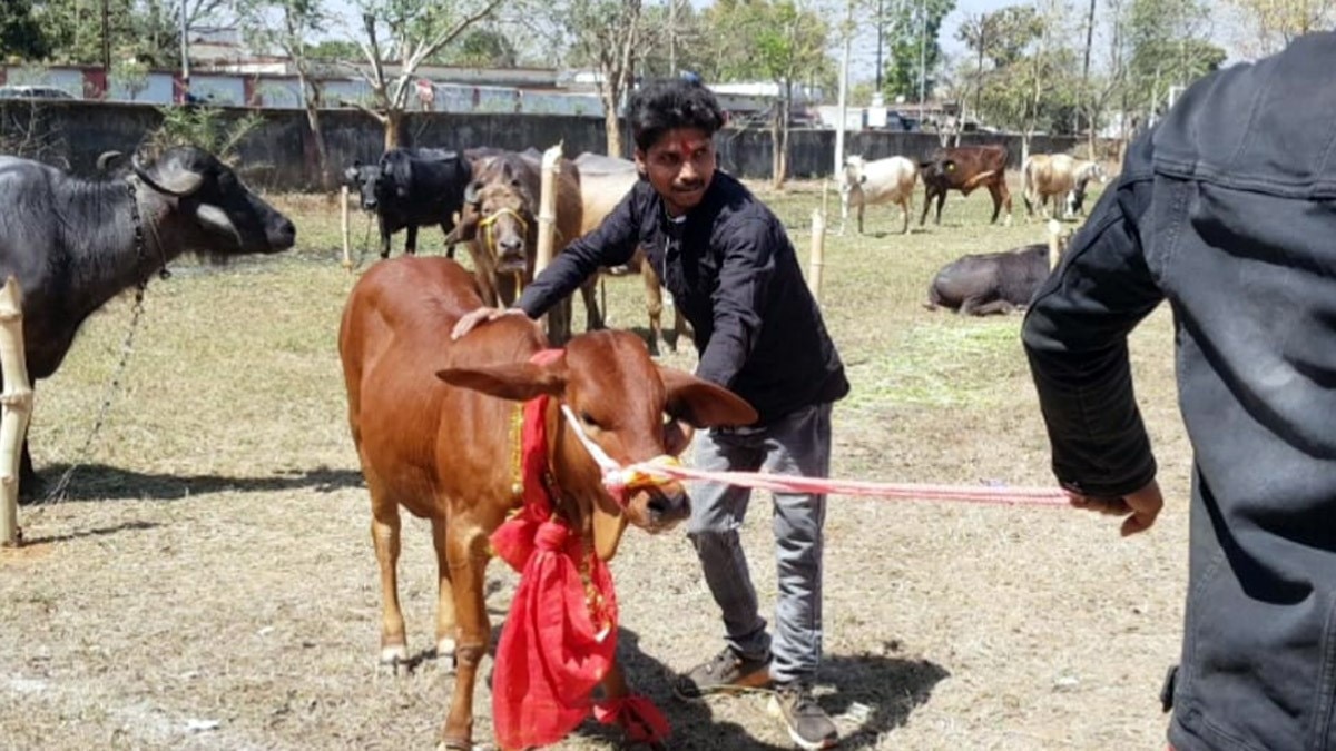  महेद्र सिंह धोनी अब सर्वश्रेष्ठ पशुपालक बने (फोटो-मृत्युंजय श्रीवास्तव)