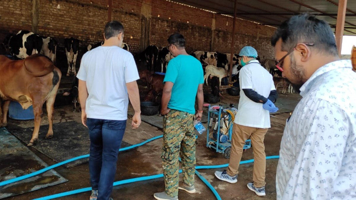 महेद्र सिंह धोनी अब सर्वश्रेष्ठ पशुपालक बने (फोटो-मृत्युंजय श्रीवास्तव)