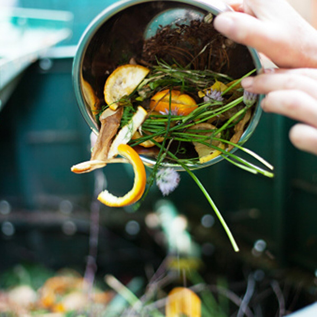 प्रतीकात्‍मक फोटो (Getty)