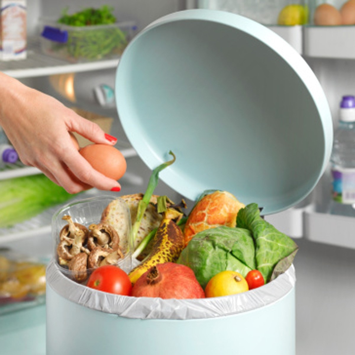 प्रतीकात्‍मक फोटो (Getty)