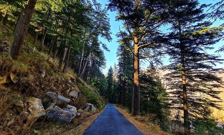 तीर्थन घाटी