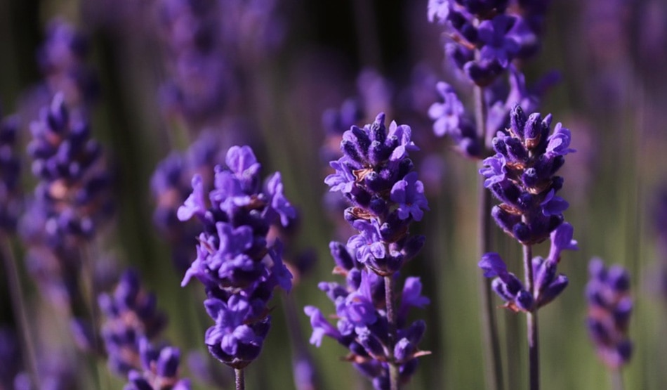 ट्रैवल के दौरान