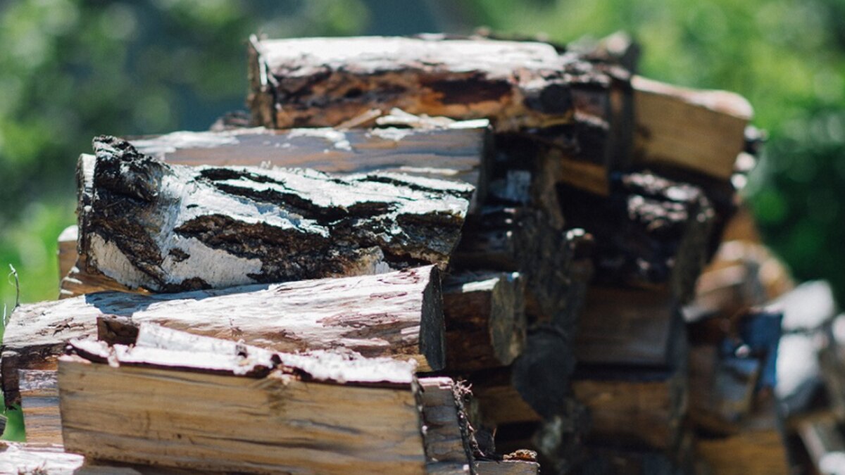 होलिका दहन 6